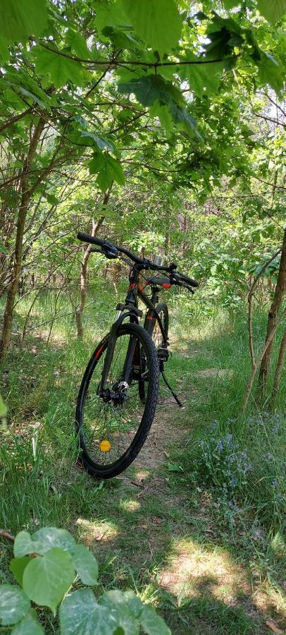 Osrodek Wypoczynkowy Nad Brda Hotel Tuchola Bagian luar foto